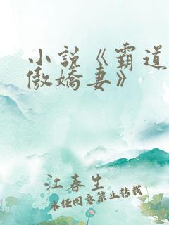 小说《霸道总裁傲娇妻》