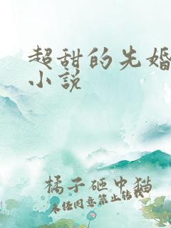 超甜的先婚后爱小说