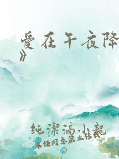 爱在午夜降临前》