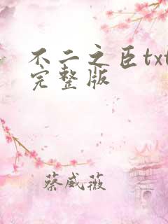 不二之臣txt完整版