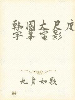 韩国大尺度中文字幕电影