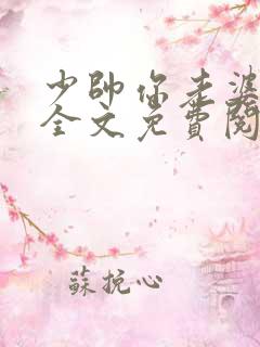 少帅你老婆跑了全文免费阅读