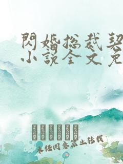 闪婚总裁契约妻小说全文免费
