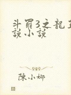 斗罗3之龙王传说小说