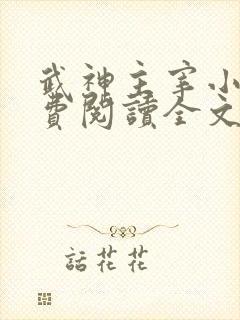 武神主宰小说免费阅读全文新笔趣阁