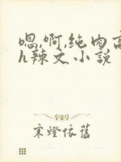 嗯,啊,纯肉高h辣文小说