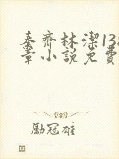 秦齐林洁138章小说免费阅读