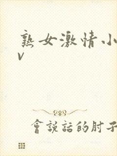 熟女激情小说av