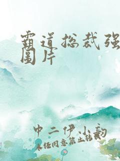 霸道总裁强制爱图片