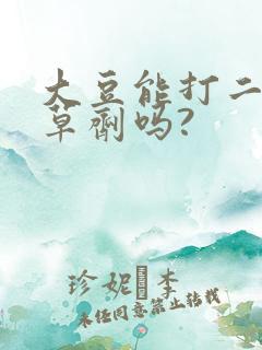 大豆能打二次除草剂吗?