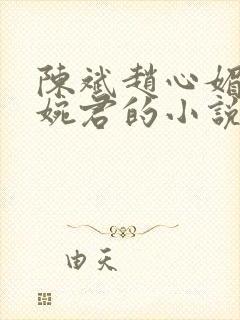 陈斌赵心媚和高婉君的小说