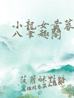 小龙女黄蓉和尤八笔趣阁