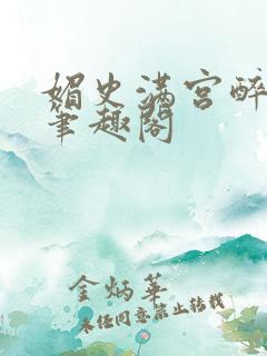 媚史满宫醉小说笔趣阁