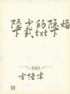 陆少的隐婚罪妻下载txt下