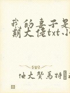 我的妻子是大乘期大佬txt小说