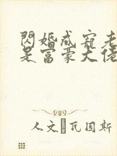 闪婚成宠老公竟是富豪大佬