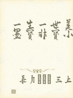 一生一世美人骨墨宝非宝小说
