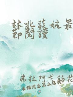林北苏婉最新章节阅读