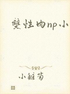 双性肉np小说