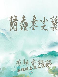 换夫妻小说免费阅读全文最新章节吕哥
