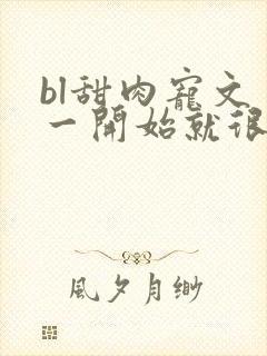bl甜肉宠文 一开始就很宠