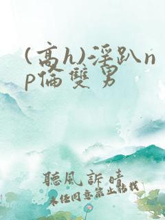 (高h)淫趴np伦双男