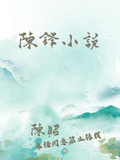 陈锋小说