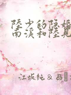 陆少的隐婚罪妻南溪和陆见深