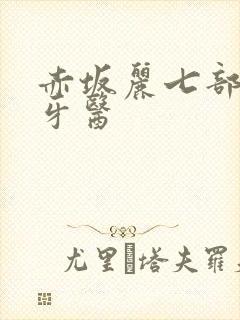 赤坂丽七部曲之牙医