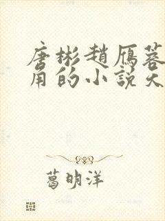 唐彬赵雁蓉是主角的小说天上人间