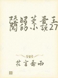 陆昭菱晋王周时阅的小说2719章