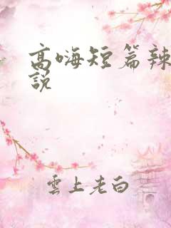 高嗨短篇辣文小说