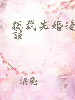总裁先婚后爱小说