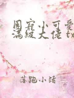 团宠小可爱成了满级大佬 txt