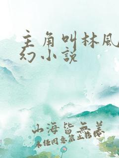 主角叫林风的玄幻小说