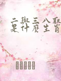 二与三八取合数是什么生肖