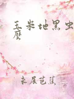 玉米地黑虫叫什么