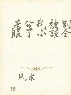 老公我被别人征服了小说全文阅读