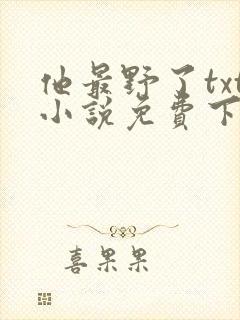 他最野了txt小说免费下载