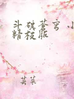 斗破苍穹 小说精校版