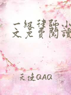 一级律师小说全文免费阅读免费