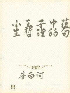 小王子中蕴含人生哲理的句子