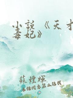 小说 《天才小毒妃》