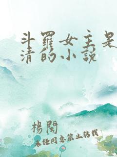 斗罗女主是朱竹清的小说