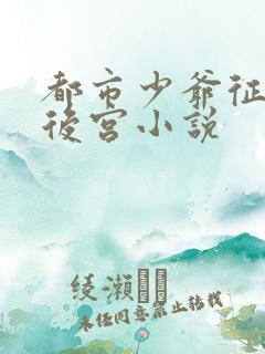都市少爷征服的后宫小说