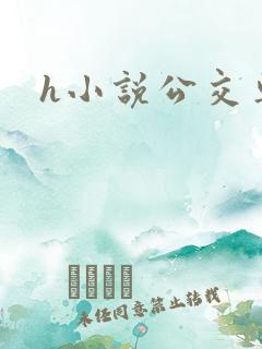h小说公交车