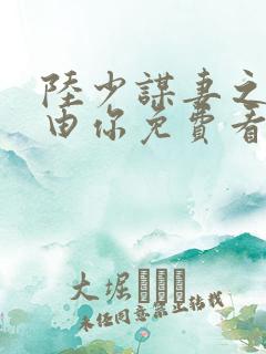 陆少谋妻之婚不由你免费看全文