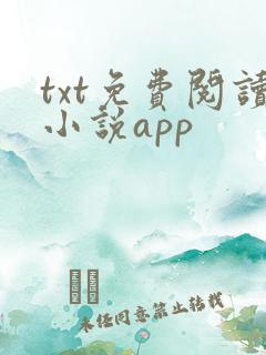 txt免费阅读小说app