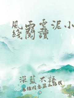 风雨云泥小说在线阅读