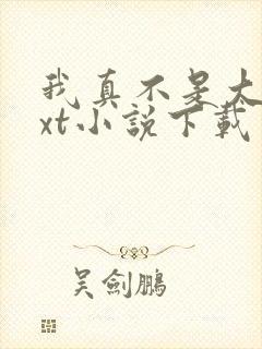 我真不是大佬txt小说下载